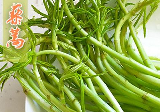 藜蒿什么季節(jié)有？藜蒿是發(fā)物嗎