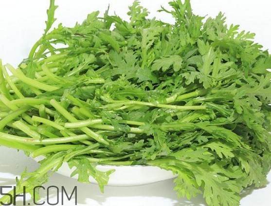 皇帝菜與什么煲湯好吃？皇帝菜性寒嗎