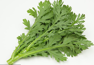 皇帝菜是什么樣子？皇帝菜又叫什么菜
