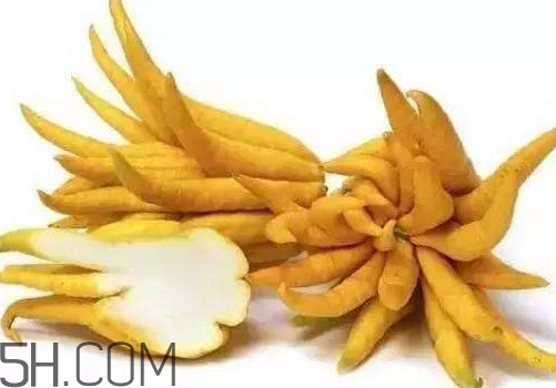 佛手柑是佛手瓜嗎？佛手柑和佛手瓜的區(qū)別