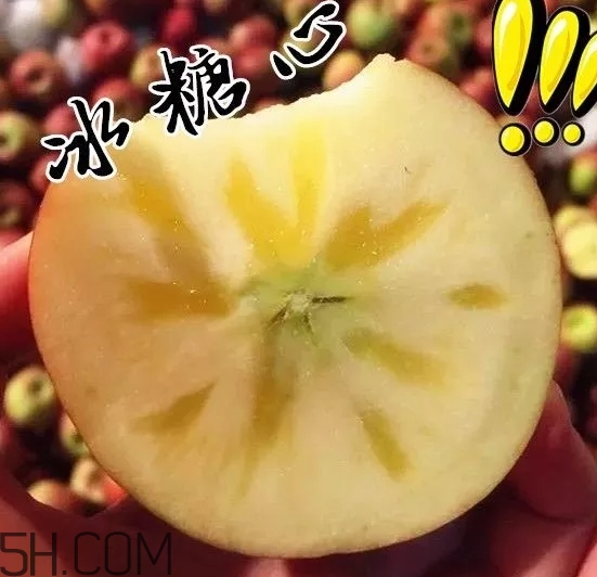 冰糖心蘋果什么時(shí)候采摘？冰糖心蘋果什么時(shí)候上市