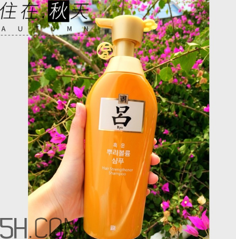 黃呂洗發(fā)水怎么樣？黃呂洗發(fā)水適合人群