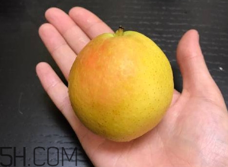 南果梨是發(fā)物嗎？南果梨是酸性還是堿性