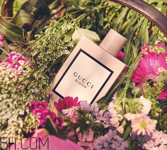 gucci bloom香水多少錢？gucci bloom香水專柜價(jià)格
