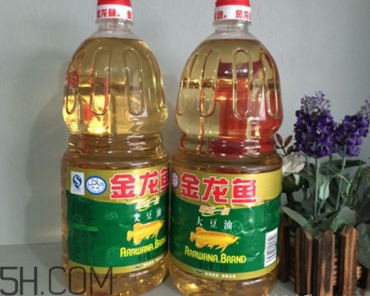 金龍魚(yú)是什么油？金龍魚(yú)是哪個(gè)國(guó)家的品牌