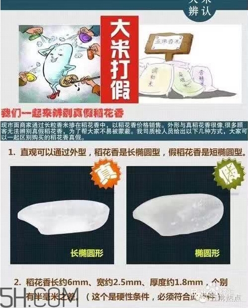 五常大米怎么辨別真假？五常大米和普通米的區(qū)別