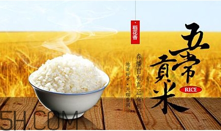 五常大米什么時(shí)候種植？五常大米是什么品種