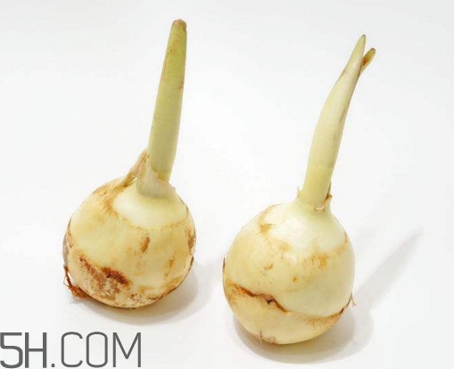 多吃慈菇有什么好處和害處？慈菇怎么保存