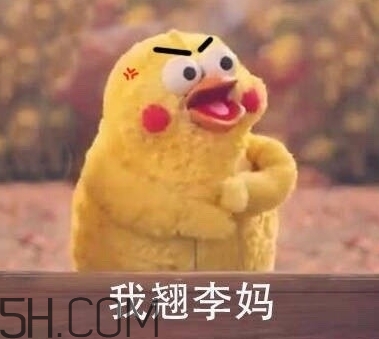 翹李媽什么意思？我翹李媽表情包