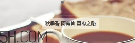 冬天適合什么香水？適合冬天的小眾香型香水推薦