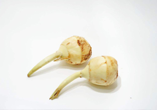 慈菇是發(fā)物嗎？慈菇是馬蹄嗎