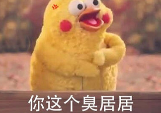 你個臭居居什么意思？你個臭居居表情包