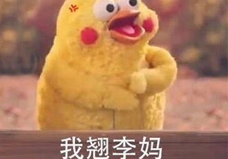 翹李媽什么意思？我翹李媽表情包