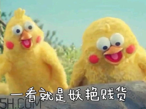 你們都是臭襪子什么意思？你們都是臭襪子表情包