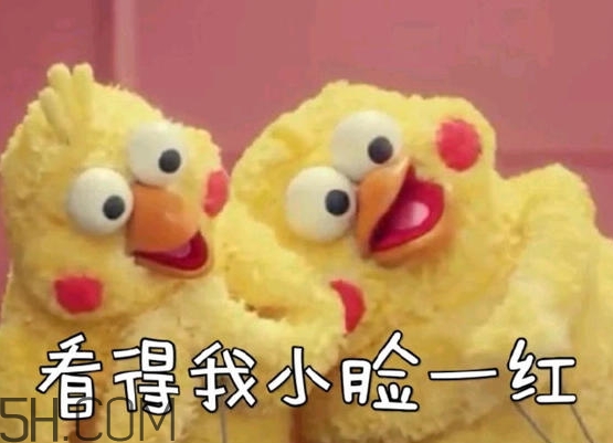 你們都是臭襪子什么意思？你們都是臭襪子表情包
