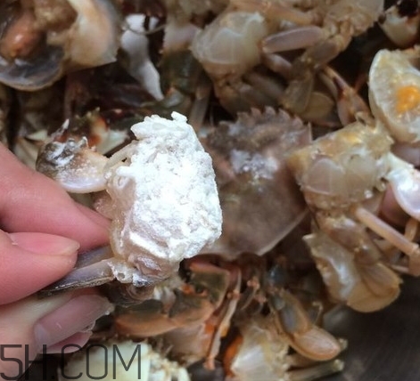 花蓋蟹和梭子蟹哪個(gè)好吃？花蓋蟹和梭子蟹區(qū)別