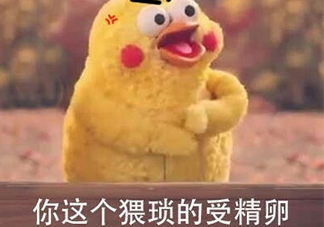 你這個猥瑣的受精卵是什么意思？你這個猥瑣的受精卵表情包