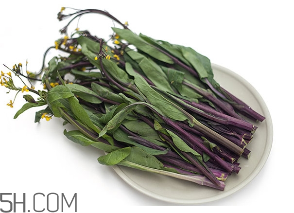 紅菜苔為什么炒出來的汁是藍(lán)色的？紅菜苔是什么菜