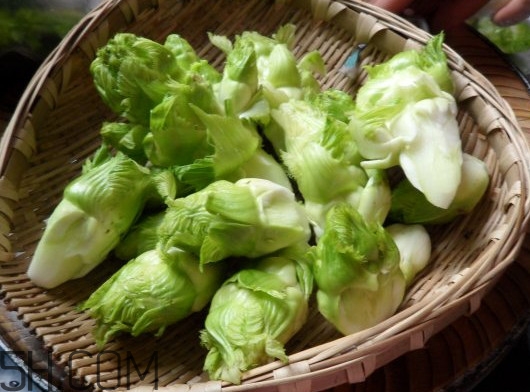 兒菜為什么叫兒菜？?jī)翰耸裁醇竟?jié)吃的