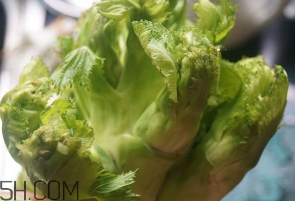 兒菜為什么叫兒菜？?jī)翰耸裁醇竟?jié)吃的