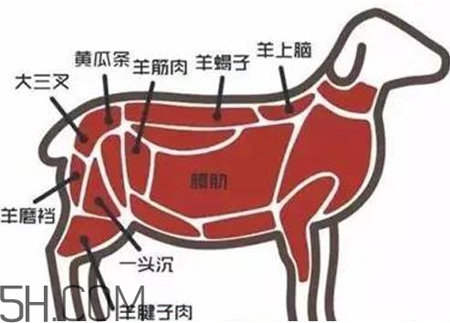 涮羊肉哪個部位最好吃？涮羊肉都有什么菜？