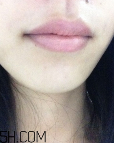 dhc美容液唇膏好嗎？dhc尊貴美容液唇膏試色