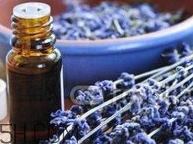 如何用精油護(hù)發(fā)？薰衣草精油護(hù)發(fā)怎么用？
