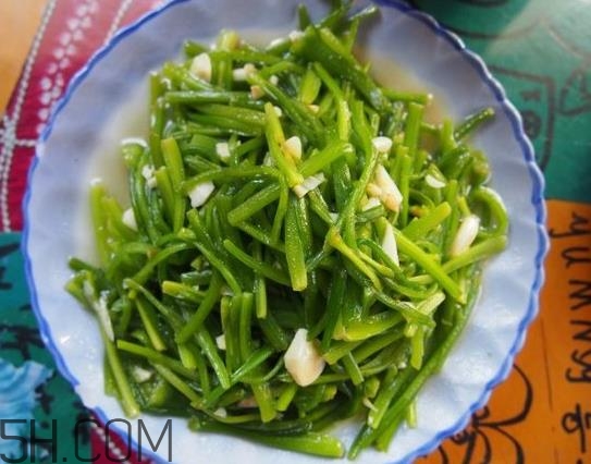 麗江水性楊花是什么菜？水性楊花菜怎么做？
