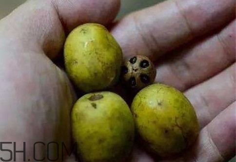 南酸棗可以泡酒嗎？南酸棗果核有什么功效