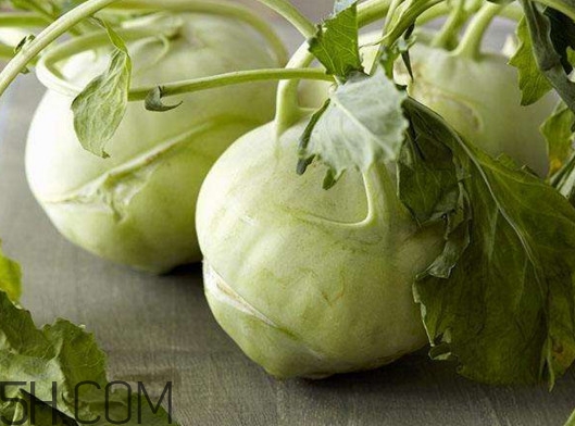 大頭菜營養(yǎng)價值有哪些？大頭菜什么時候種植