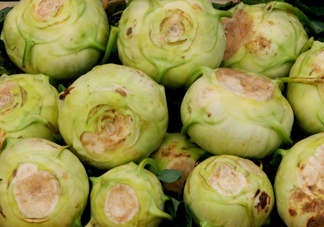 大頭菜是發(fā)物嗎？大頭菜是卷心菜嗎