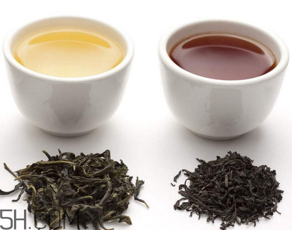 烏龍茶是什么茶？烏龍茶是紅茶還是綠茶