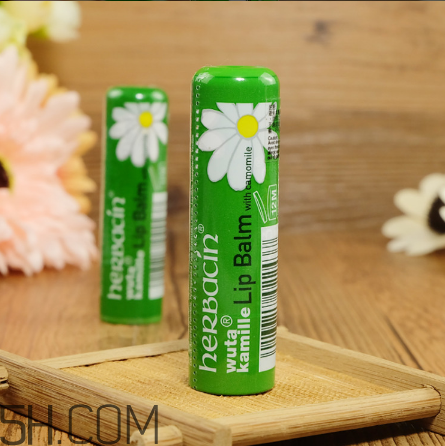 賀本清德國小甘菊潤唇膏好用嗎？賀本清德國小甘菊潤唇膏測評