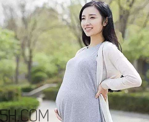 懷孕了可以吃可樂雞翅嗎？可樂雞翅什么人不能吃