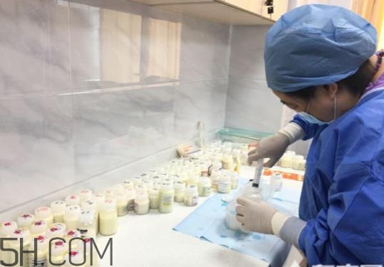 人乳庫(kù)是什么？為什么成立人乳庫(kù)