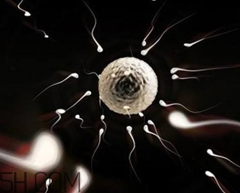 少精癥能自然懷孕嗎？少精癥多久能治好？
