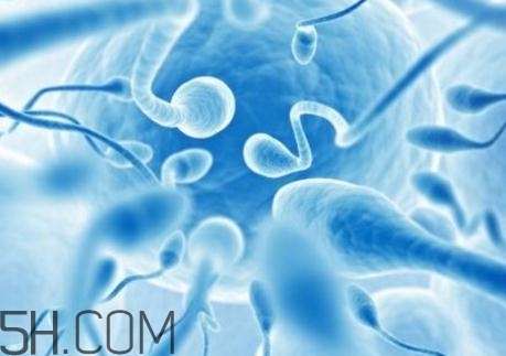 精子不液化是什么原因造成的？精子不液化吃什么藥好？