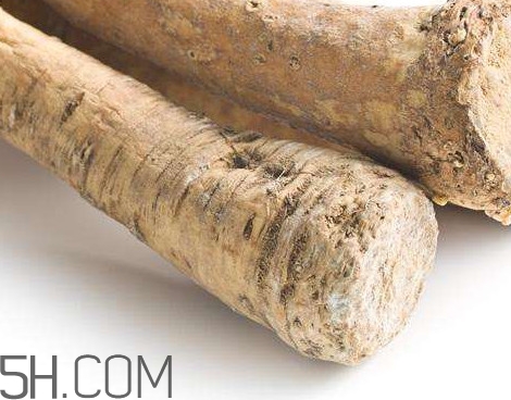 芥末是辣根嗎？辣根和芥末的區(qū)別
