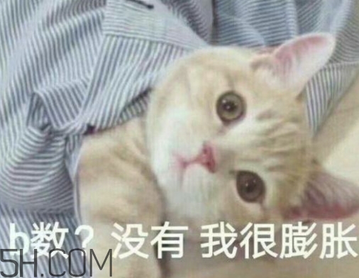 b數(shù)沒有我膨脹什么意思？b數(shù)沒有我膨脹表情包