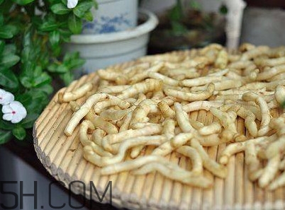 姜芽能吃嗎？姜芽怎么吃