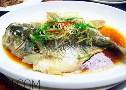 松江鱸魚(yú)怎么做？松江鱸魚(yú)養(yǎng)殖技術(shù)