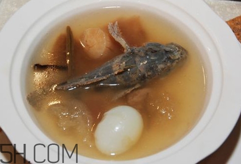 松江鱸魚(yú)哪里有？松江鱸魚(yú)什么季節(jié)吃最好
