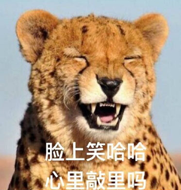 敲里lailai是什么意思？敲里lailai表情包無水印