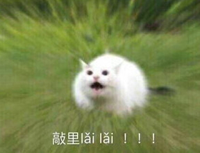 敲里lailai是什么意思？敲里lailai表情包無水印