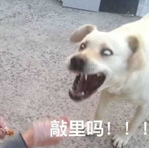 敲里lailai是什么意思？敲里lailai表情包無水印