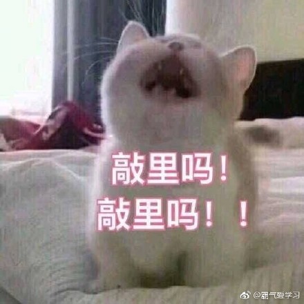 敲里lailai是什么意思？敲里lailai表情包無水印