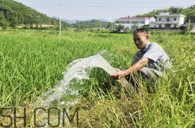 女生說抽水什么意思？女生發(fā)消息想抽水什么意思？
