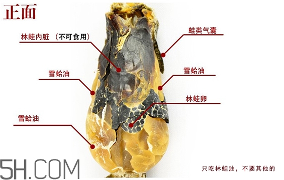 林蛙哪些部位不能吃？林蛙有什么營養(yǎng)