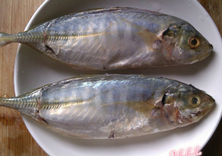 咸魚長毛還能吃嗎？怎樣辨別咸魚是否變質(zhì)