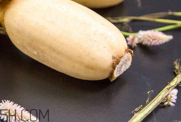 蓮藕是什么季節(jié)成熟的？蓮藕什么時(shí)候種植
